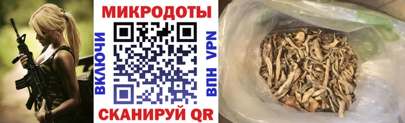 маркетплейс телеграм  Каргат  Псилоцибиновые грибы GOLDEN TEACHER 